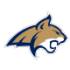 Montana State logo