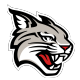 Davidson logo