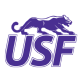 Sioux Falls logo