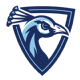 Upper Iowa University logo