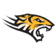 Towson logo