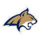 Montana State logo