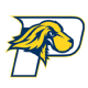 Pace logo