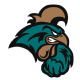 Coastal Carolina logo